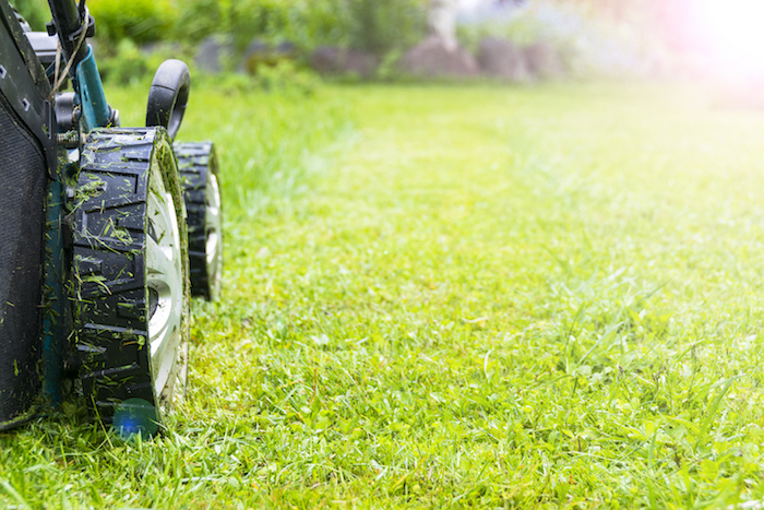 Grass CuttingKee